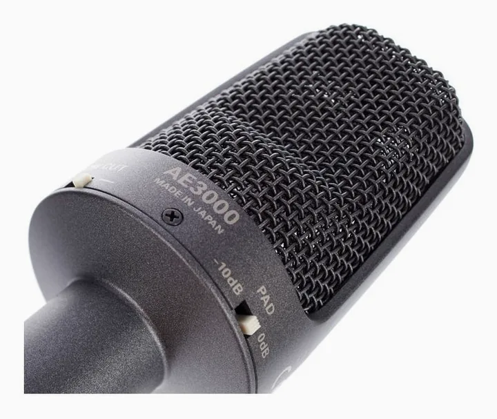 Audio-Technica AE 3000, mikrofonin kori läheltä, kuva 4