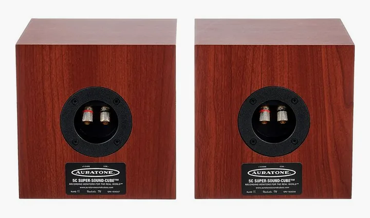 Auratone 5C Super Sound Cube Amp Set Cl, takapaneeli liitäntöineen, kuva 4