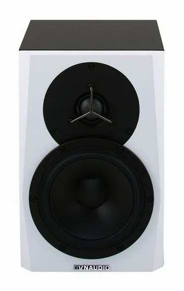 Dynaudio LYD-5, takapaneelin säätimet, kuva 2
