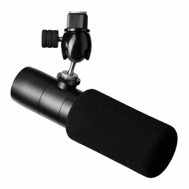 Earthworks Audio Ethos Black, runko sivusta kuvattuna, kuva 2