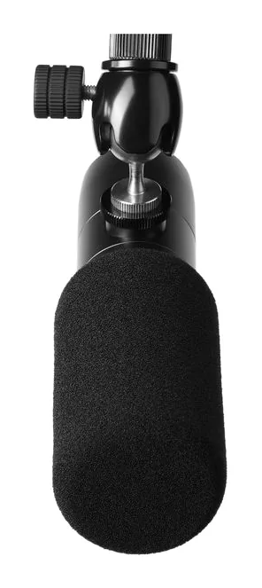 Earthworks Audio Ethos Black, XLR-liitin pohjassa, kuva 3