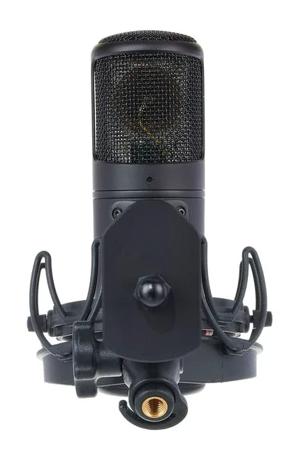 Golden Age Audio Premier GA-8000, pidike ja kiinnitys, kuva 2