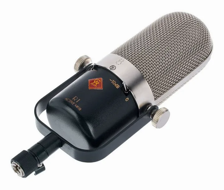 Golden Age Audio Project R1 active Mk3, runko sivusta kuvattuna, kuva 4