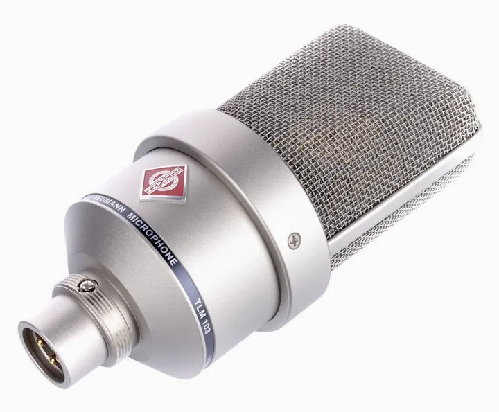 Neumann TLM 103 Studio Set, mikrofonin kori läheltä, kuva 3